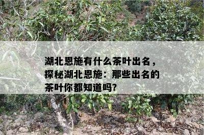 湖北恩施有什么茶叶出名，探秘湖北恩施：那些出名的茶叶你都知道吗？