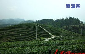 湖北恩施有什么茶叶出名，探秘湖北恩施：那些出名的茶叶你都知道吗？