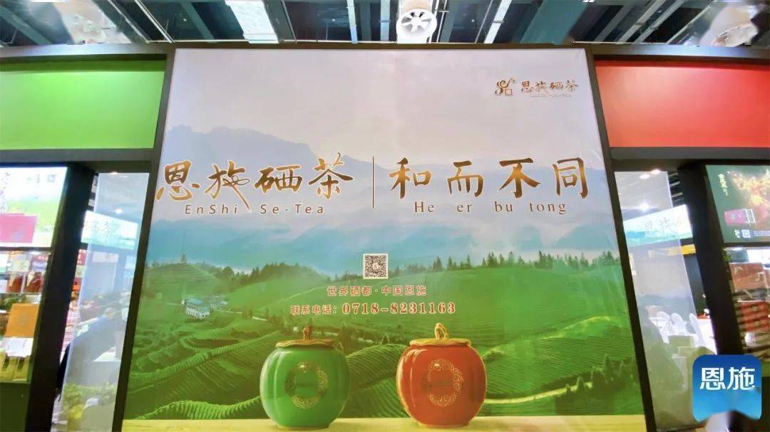 采摘恩施富硒茶