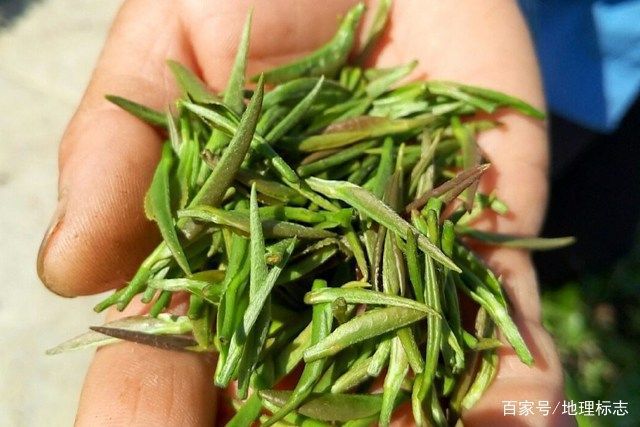 陕西富硒茶品牌