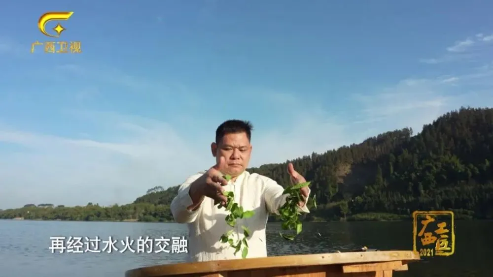 福建富硒桑叶茶