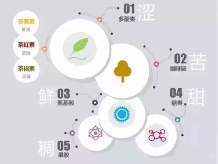 茶叶内含物质详解图_茶叶中的主要成分及含量