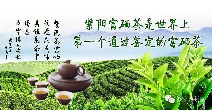 紫阳富硒茶起源