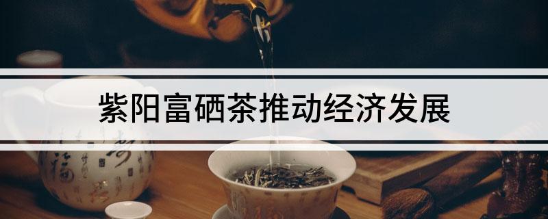 紫阳富硒茶机会