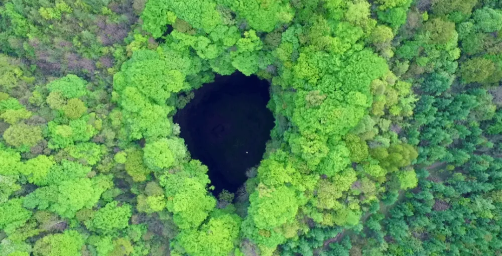 富硒茶名称命名