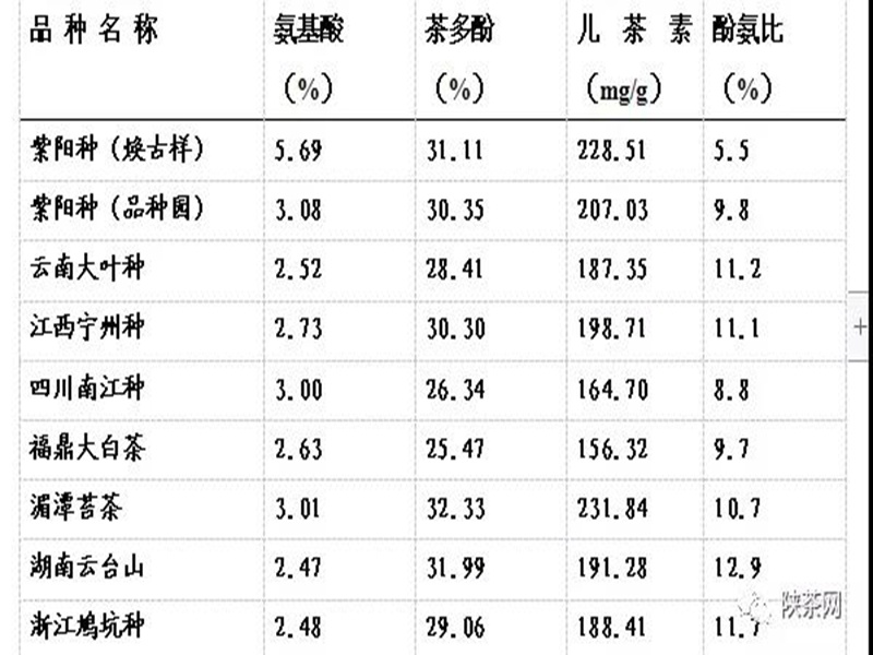 各品种鲜叶蒸青样生化分析表