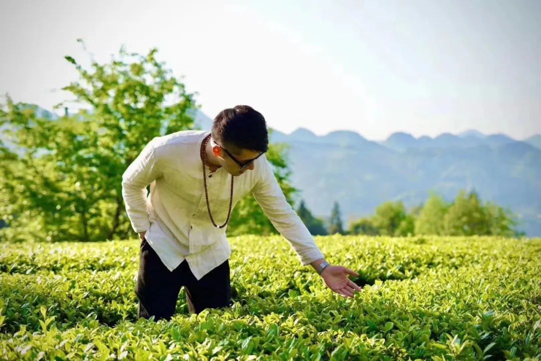 恩施富硒茶地标