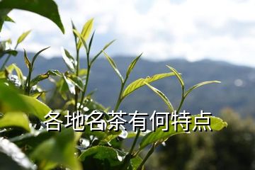 各地名茶有何特点