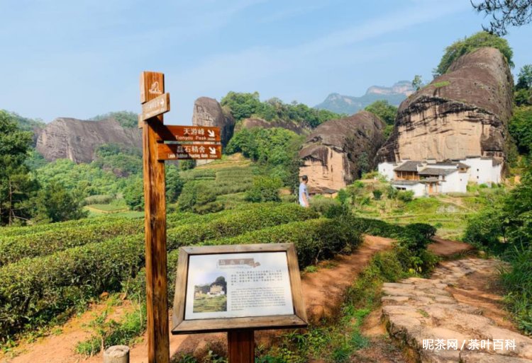 石台富硒茶特点