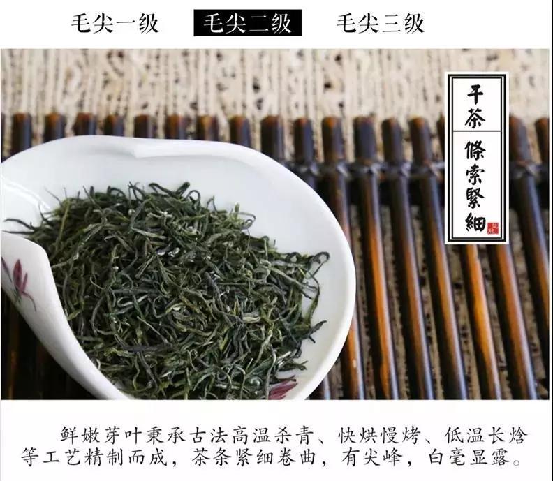 陕西富硒紫阳茶