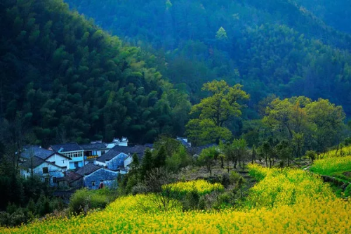 春游江淮请您来丨大山深处的“醉氧仙境”，安徽有你向往的桃源