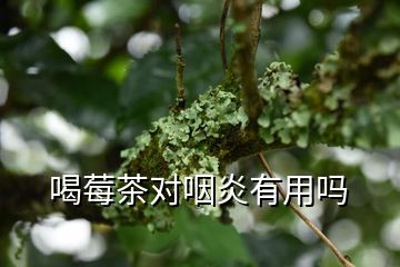 喝莓茶对咽炎有用吗