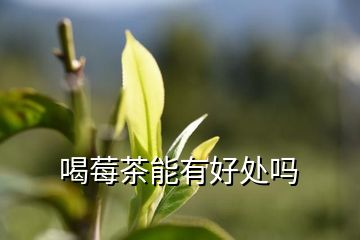 喝莓茶能有好处吗