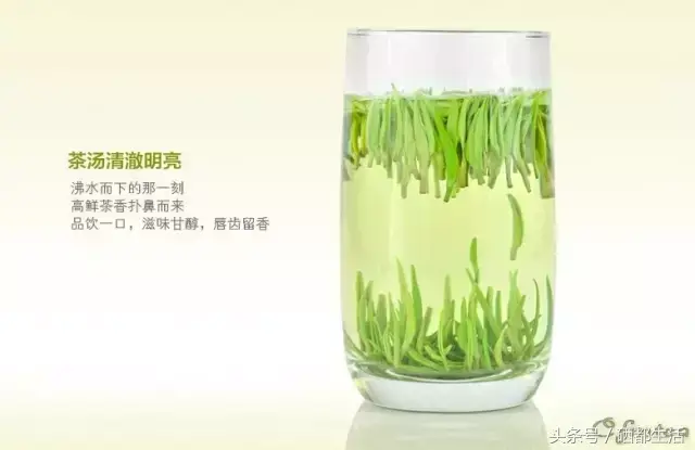 含富硒茶喝多了