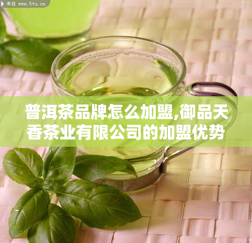 普洱茶品牌怎么加盟,御品天香茶业有限公司的加盟优势