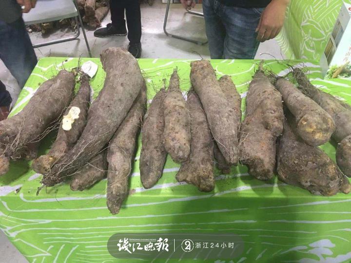 武阳富硒茶价格