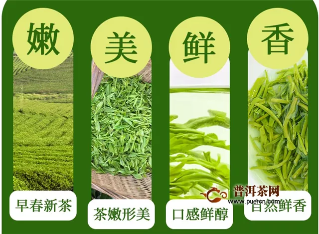 恩施富硒茶是什么茶