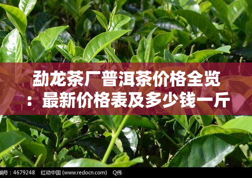 勐龙茶厂普洱茶价格全览：最新价格表及多少钱一斤