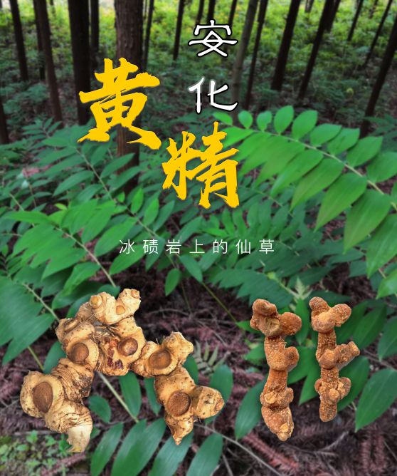 富硒茶治便秘吗