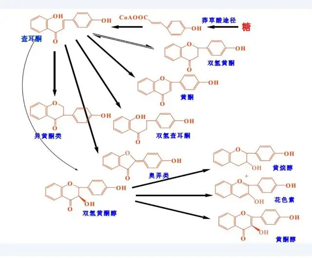 富硒蛇葡茶价格