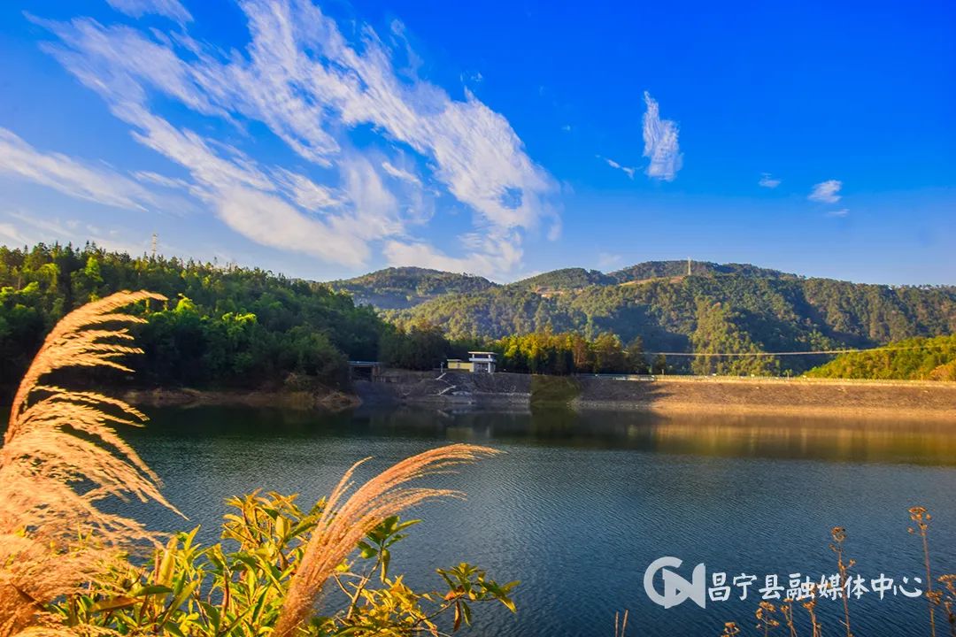 翁堵雪山富硒茶