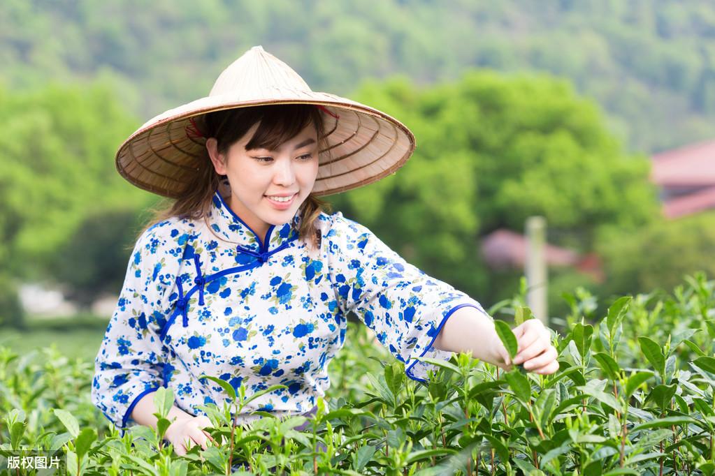 恩施富硒茶兰香