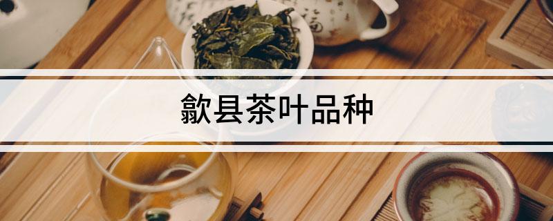 霄坑野生富硒茶