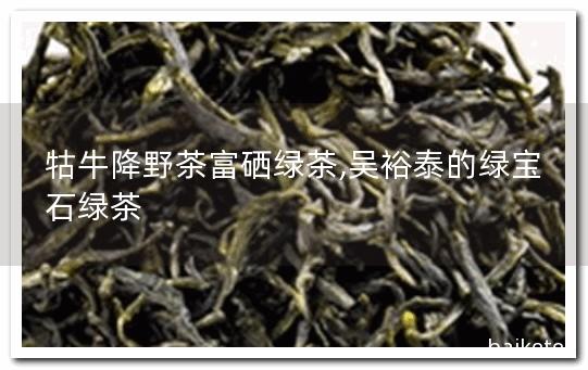 牯牛降野茶富硒绿茶,吴裕泰的绿宝石绿茶