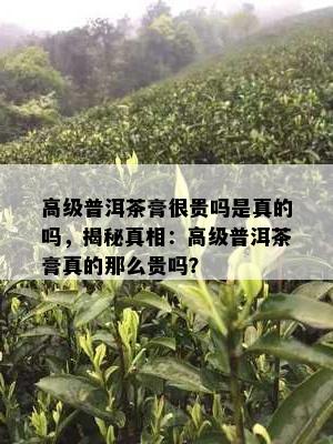 高级普洱茶膏很贵吗是真的吗，揭秘真相：高级普洱茶膏真的那么贵吗？