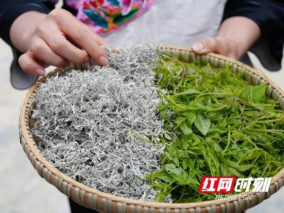 宋小年富硒藤茶