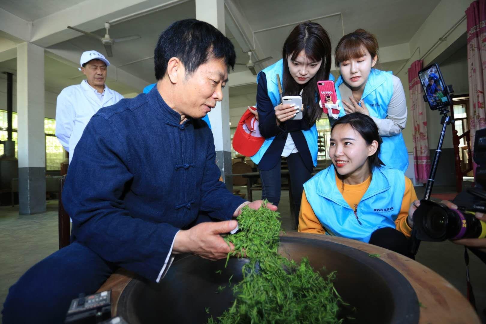 京康富硒茶直播