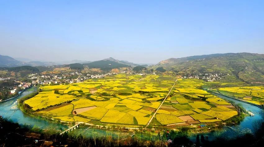 开阳高山富硒茶