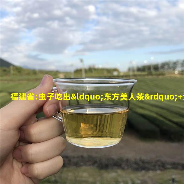 富硒虫草根叶茶