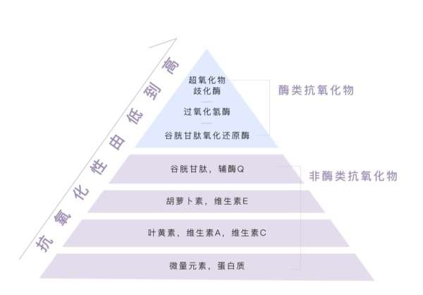 哪里有富硒茶买