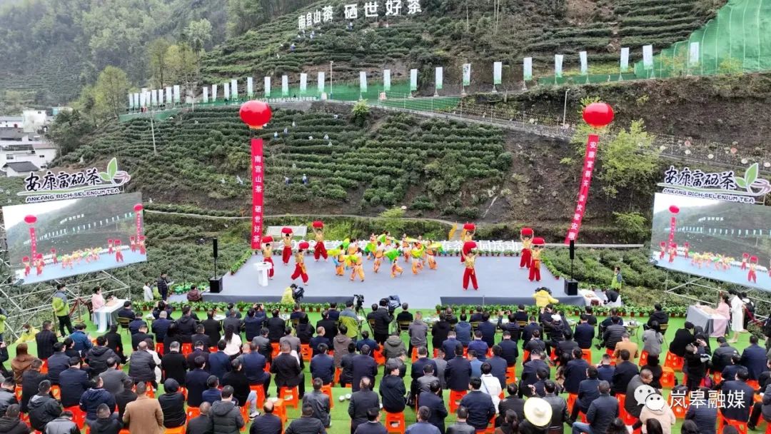 年韵富硒银针茶