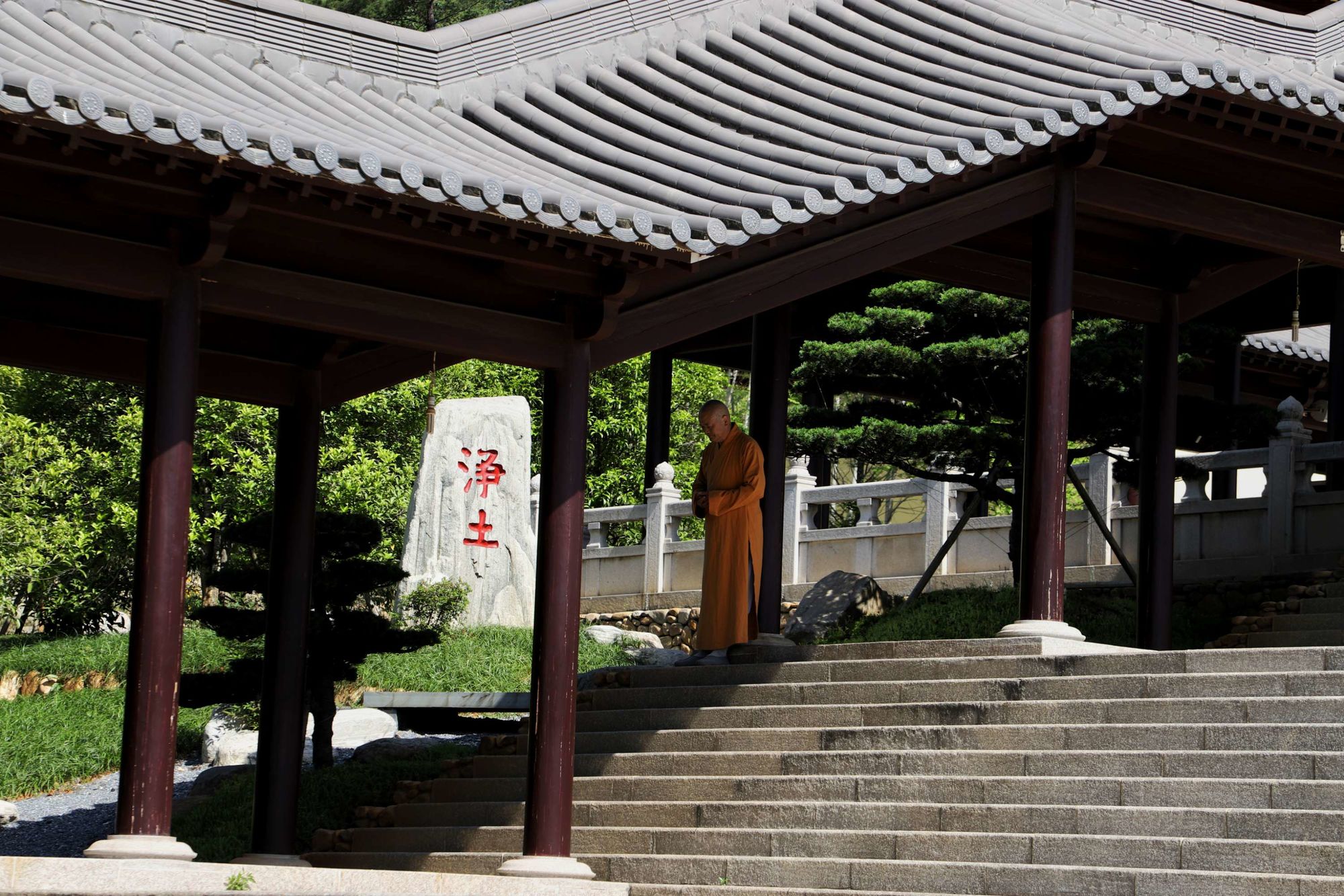 仙富山富硒野茶