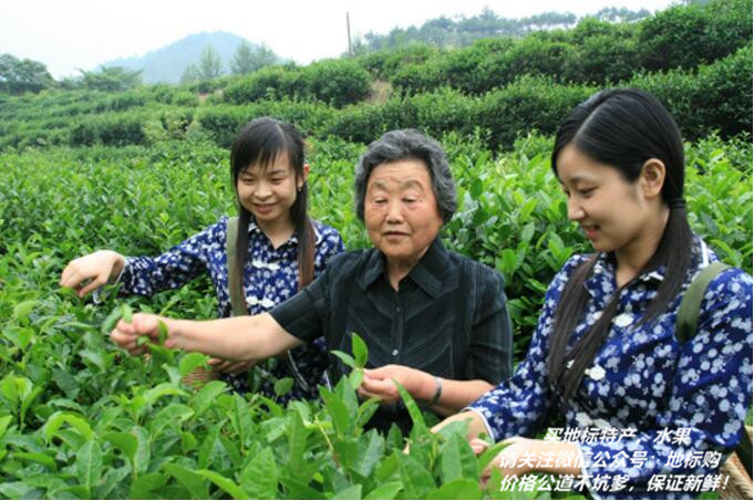 贵州寿眉富硒茶