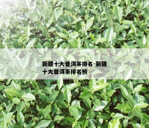 新疆十大普洱茶排名-新疆十大普洱茶排名榜