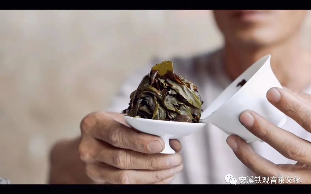 紫阳富硒茶寻青