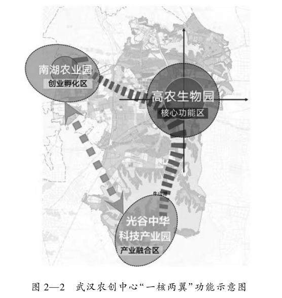 生物科技富硒茶