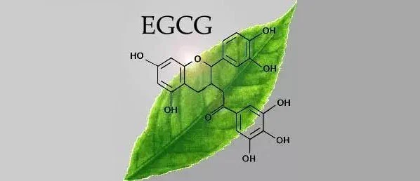 富硒藤茶降血压