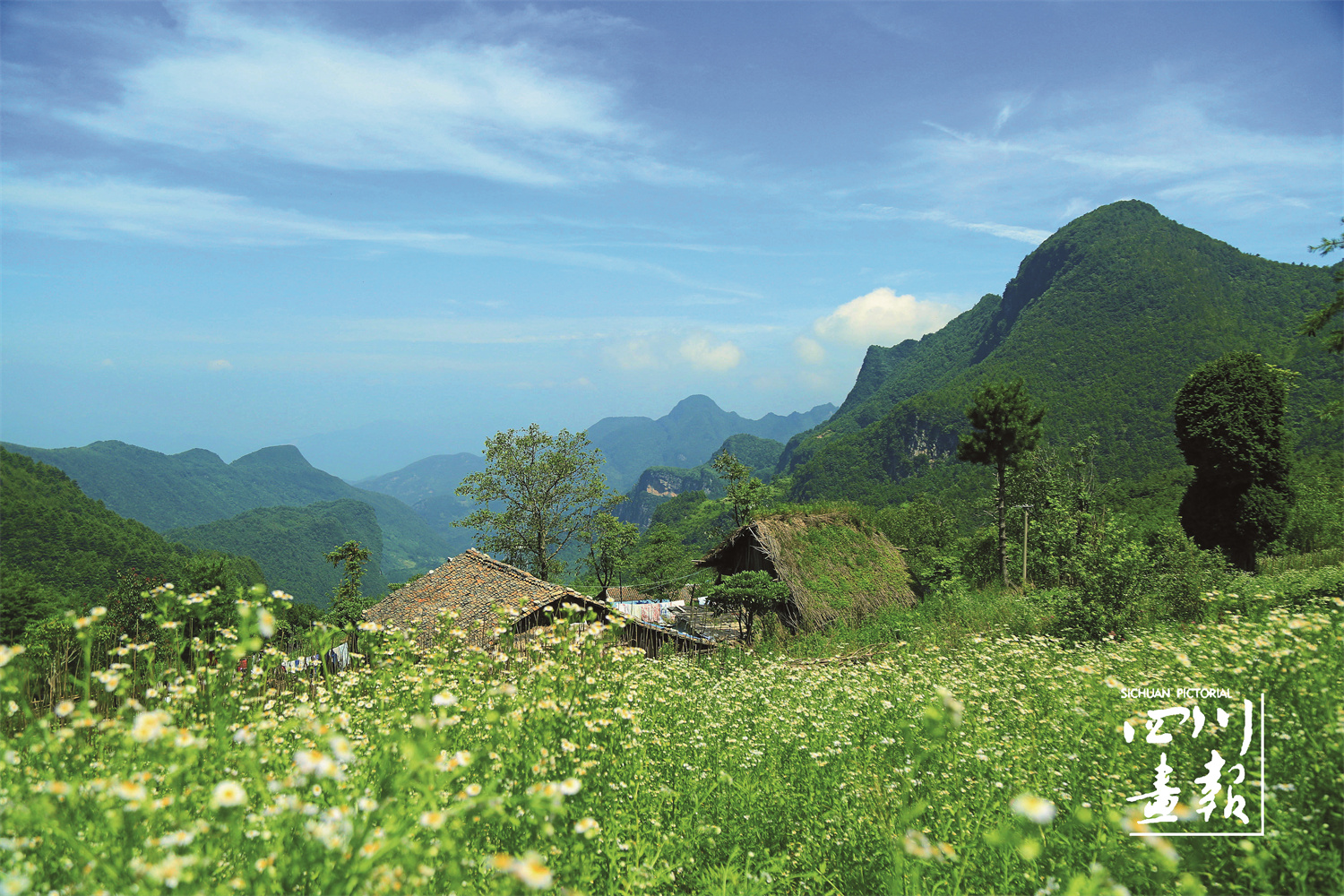 大巴山富硒茶区