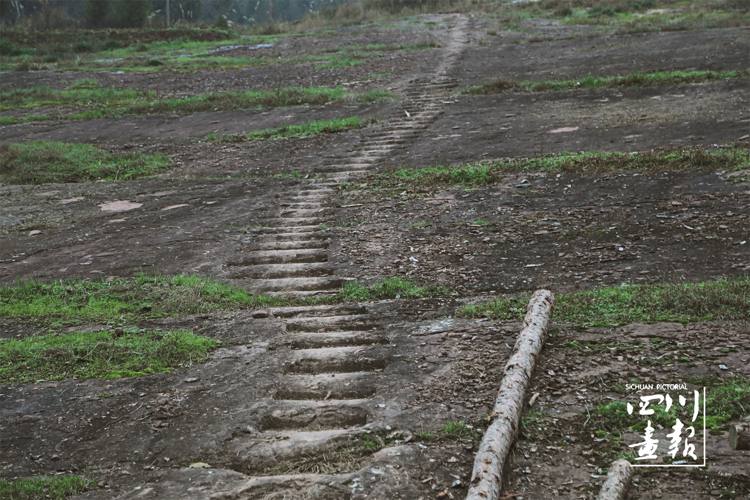 大巴山富硒茶区