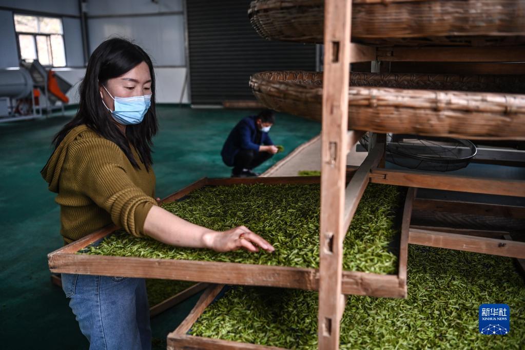 平利县富硒堂茶