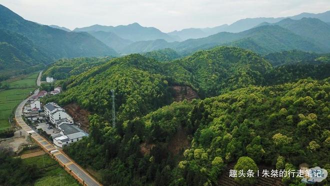 石台县野茶富硒