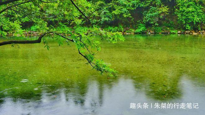 石台县野茶富硒