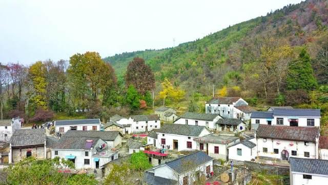 石台县野茶富硒