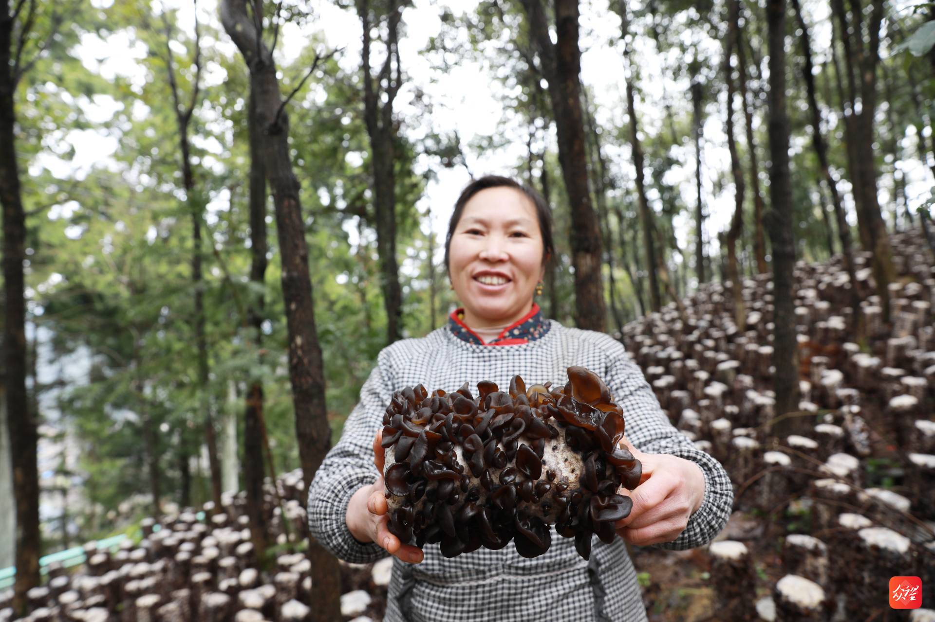 富硒茶小康生活