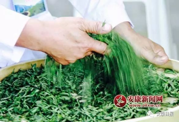 富硒茶的广告语