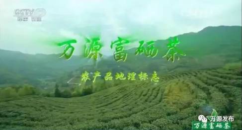 万源富硒茶北纬